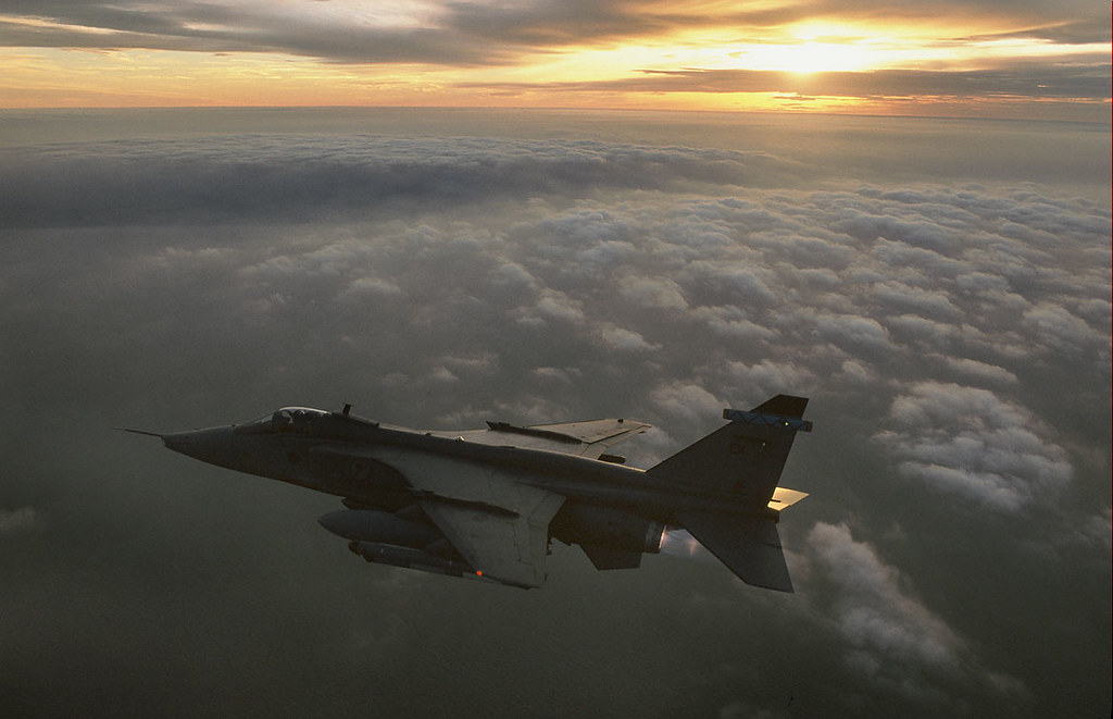 Jaguar in flight